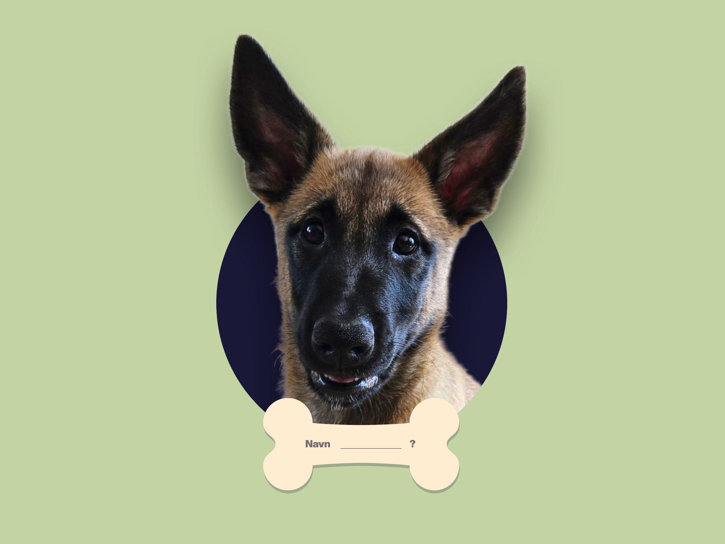 Gi navn til Fellesforbundets minehund